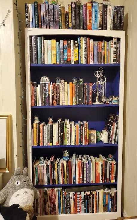 Packing Tips for Moving with Books (from Someone Who Just Did So)