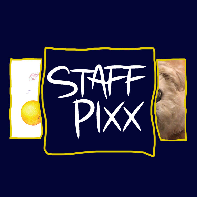 Staff Pixx 12/3