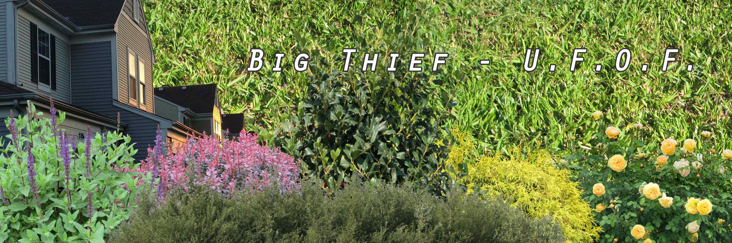 Artwork by Mateo Rispoli