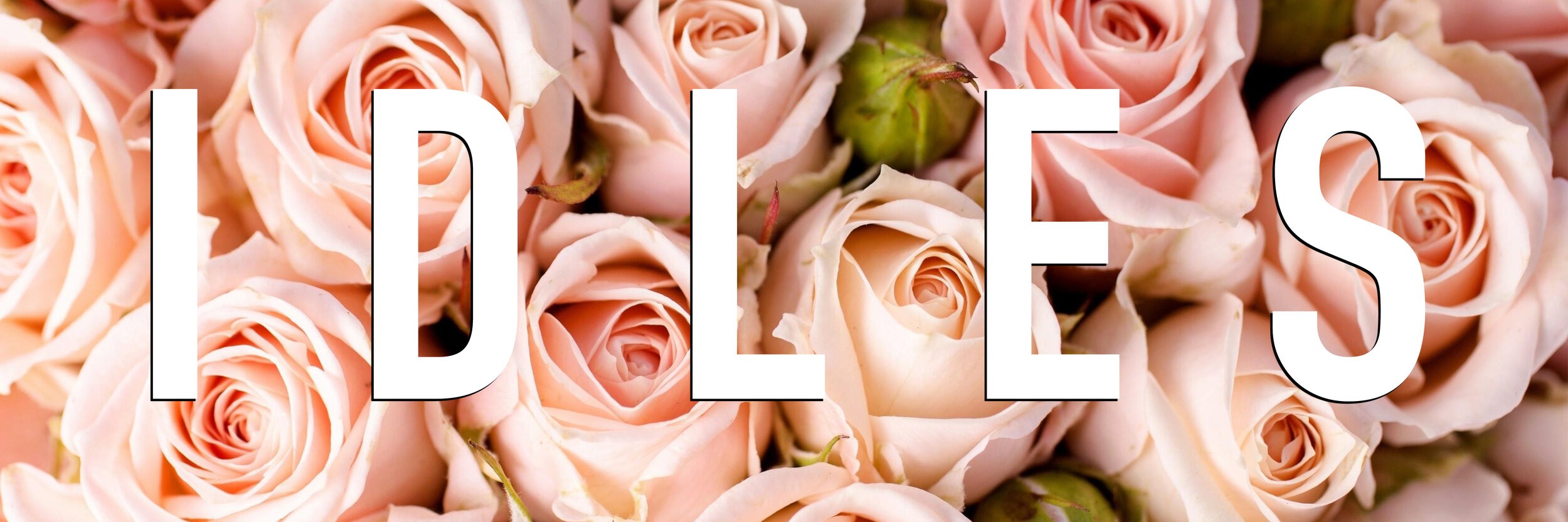 Photography by Owen Murray