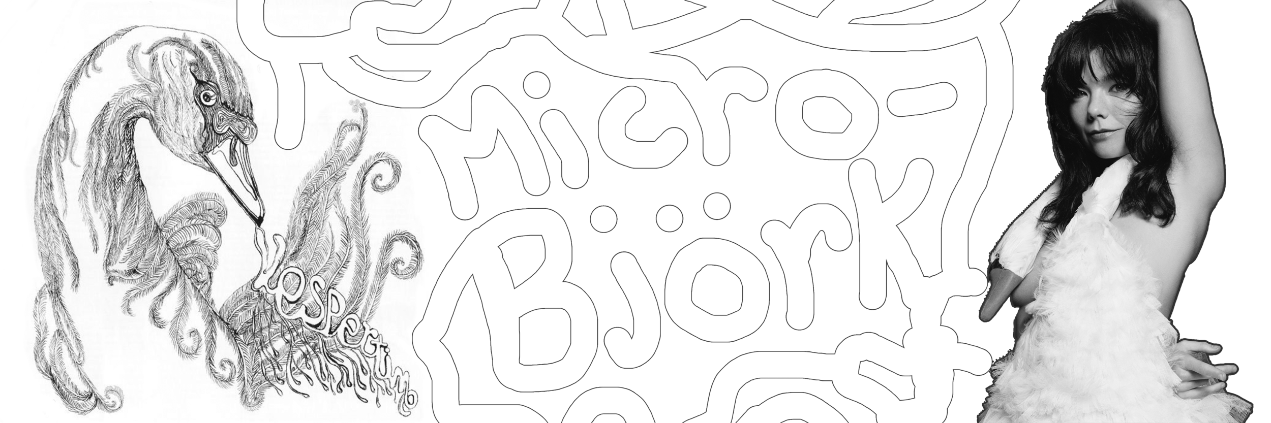 Artwork by Mateo Rispoli